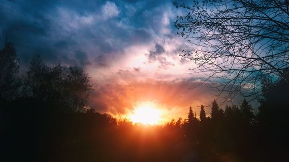 公园，西部，自然，风景，树木，天空，自然之美，植物