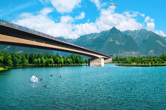 桥，湖，水，山，公园，风景，天鹅，鸭子