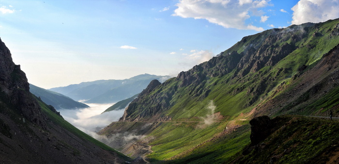 青山