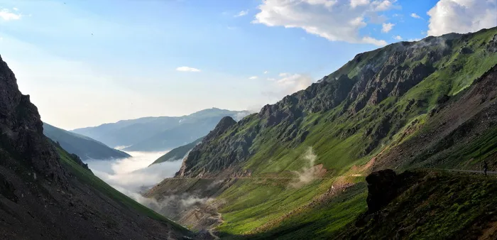 青山