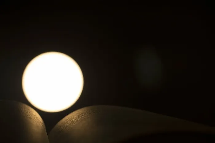 模糊、特写、黑暗、聚焦、灯光、照明、黑色背景、复印空间