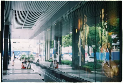 建筑物旁边的人、人、人、沥青、柏油路、道路、家禽、动物 建筑物旁边的人、人、人、沥青、柏油路、道路、家禽、动物