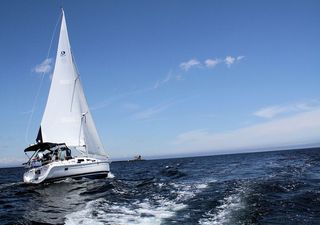 帆，船，海，帆船，插图，物体，人，季节