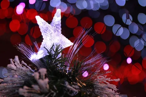 照明、装饰、图形、艺术、图案、植物、灯光、树木