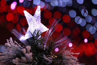 照明、装饰、图形、艺术、图案、植物、灯光、树木