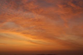 日出, 鸟类, 葡萄牙, 欧洲, 阿连特茹, 天空, 云, 户外