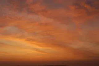 日出, 鸟类, 葡萄牙, 欧洲, 阿连特茹, 天空, 云, 户外