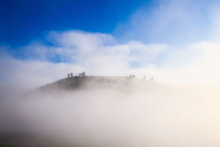 丘陵、乡村、高地、树木、植物、自然、雾、天空