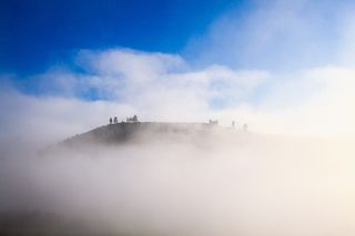 丘陵、乡村、高地、树木、植物、自然、雾、天空