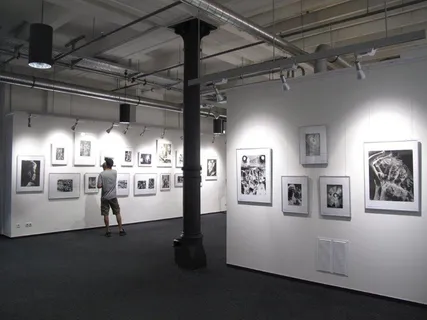 展览, 黑与白, 摄影, 摄影师, 探索, fotogermin, 图书馆, 图书馆内部