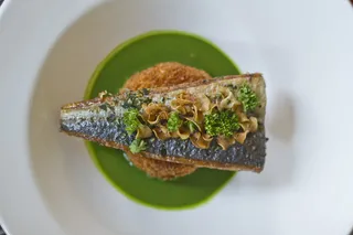 鳟鱼、豌豆、鱼泥、食品、食品和饮料、特写、即食、健康饮食