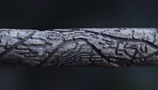 爬行动物, 动物, 地毯, 棍子, 木头, 蜥蜴, 木, 下皮