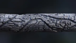 爬行动物, 动物, 地毯, 棍子, 木头, 蜥蜴, 木, 下皮