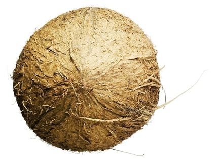 椰子、特写、隔离、素食、多毛、天然、美味、热带