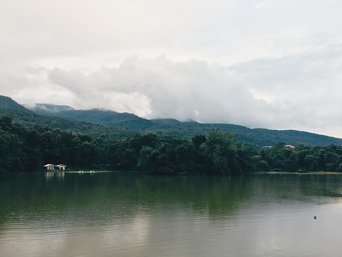 黎明，风景，自然，天空，平静的水，云，日光，雾