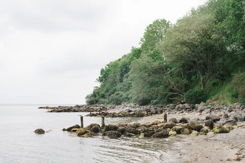 Moesgård海滩 Moesgård海滩