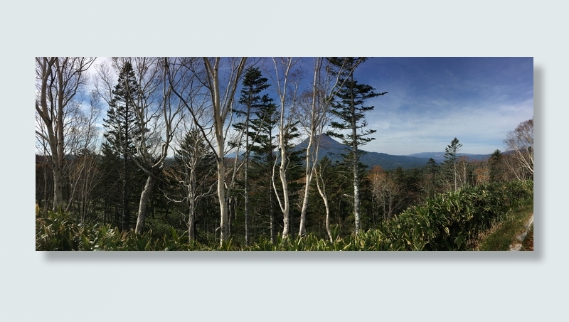 森林，北海道，日本，树木，山脉，火山，蓝天，自然