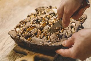 切棕色巧克力的人