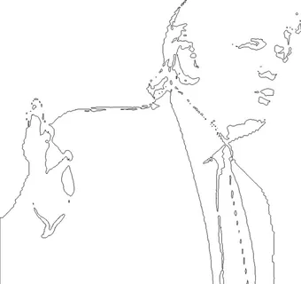 总统、特朗普、线框、肖像、剪贴画、白色背景、摄影棚快照、复制空间