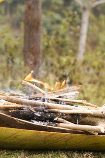 火，木头，火焰，篝火，森林大火，木材，竹子，植物