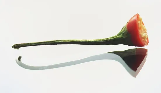 反射、辣椒、辛辣、红色、辣、植物、食物、生的 反射、辣椒、辛辣、红色、辣、植物、食物、生的