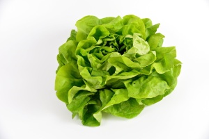 生菜、沙拉、蔬菜、蔬菜、膳食、菜园、电力、农业