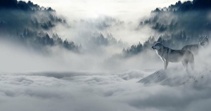 黑白抽象画