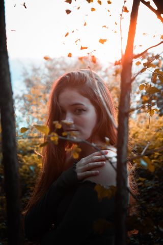 西班牙，阿尔特桑达山，秋天，树叶，自然，树木，编辑，灯塔