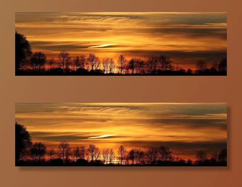 树木剪影照片，日落，太阳，夜空，云朵，阿本斯汀芒，夕阳，全景