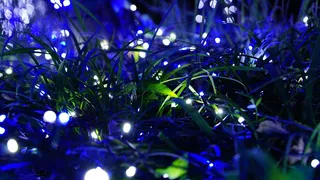 夜景, 光, 节日, 一, 光节, 一 rumiah, 散景, 草