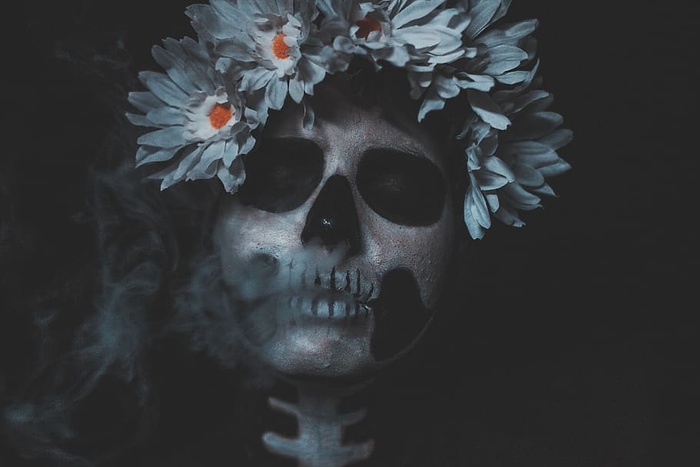 黑白头骨配花朵头带插图