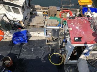 英国，圣阿巴斯，船，龙虾，鲭鱼，圣阿巴斯，捕鱼，卷轴