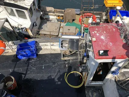 英国,圣阿巴斯,船,龙虾,鲭鱼,圣阿巴斯,捕鱼,卷轴 英国,圣阿巴斯,船,龙虾,鲭鱼,圣阿巴斯,捕鱼,卷轴