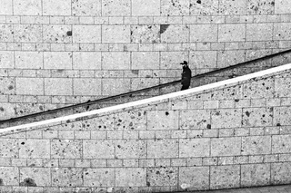 建筑，楼梯，透视，楼梯，涌现，墙，结构，栏杆