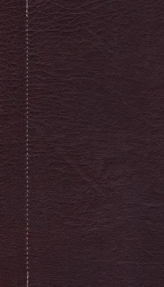 皮革, 纹理, 背景, 织物, 原料, 装饰, 材料, 模式