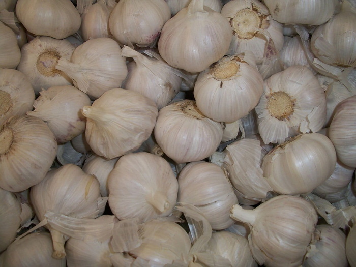 大蒜，丁香，香料，大蒜，丁香，调味品，调味品，配料，食品