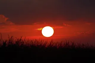 剪影照片，草地，金色，小时，白天，日出，夏天，美丽