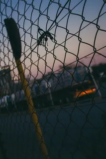 铁丝网围栏,围栏,*,动物,鸟,球体,路障,锁 铁丝网围栏,围栏,*,动物,鸟,球体,路障,锁