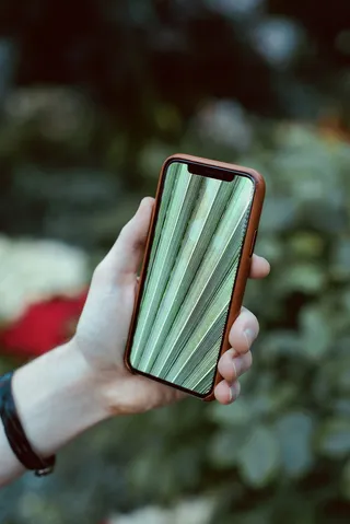 个人，手持，空格，灰色，iphone x，棕色，手机壳，手机