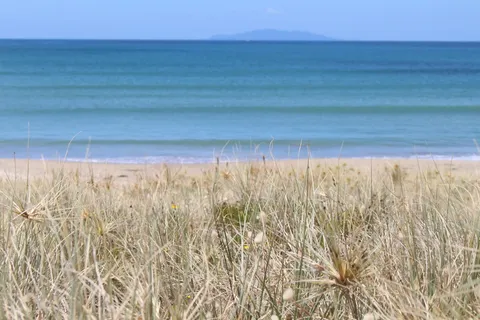 Whangamata, 新西兰, 景观, 蓝色, 自然, 旅行, 水, 植物