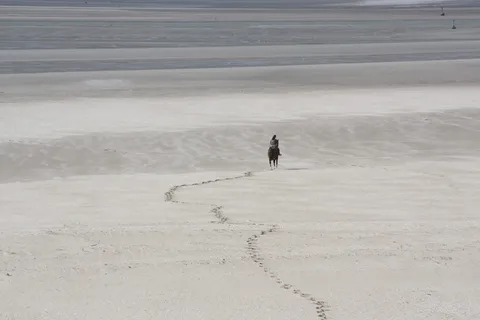 马，海滩，海，沙，海，海湾，Sum，海湾Sum