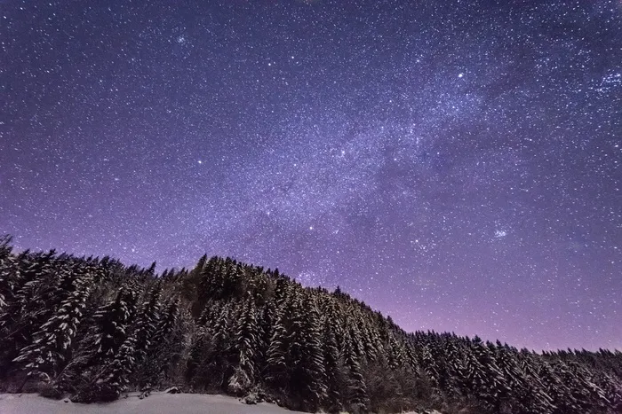 在满天繁星的紫色天空下，白雪覆盖着高大的树木