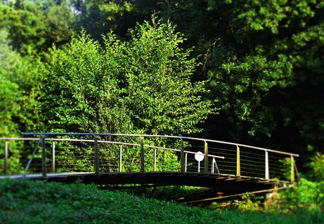 风景，自然，桥梁，人行桥，小溪，小溪，植物，树木