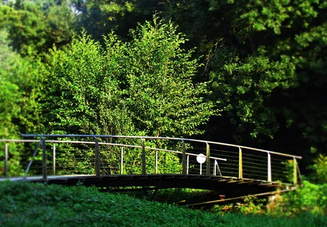 风景,自然,桥梁,人行桥,小溪,小溪,植物,树木 风景,自然,桥梁,人行桥,小溪,小溪,植物,树木