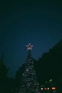 选择性聚焦摄影,打开圣诞灯,夜晚,圣诞节,灯光,户外,树木 选择性聚焦摄影,打开圣诞灯,夜晚,圣诞节,灯光,户外,树木