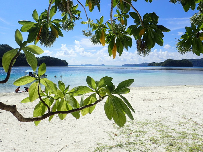 白色、沙滩、蓝色、车身、水、白天、白色海滩、海湾