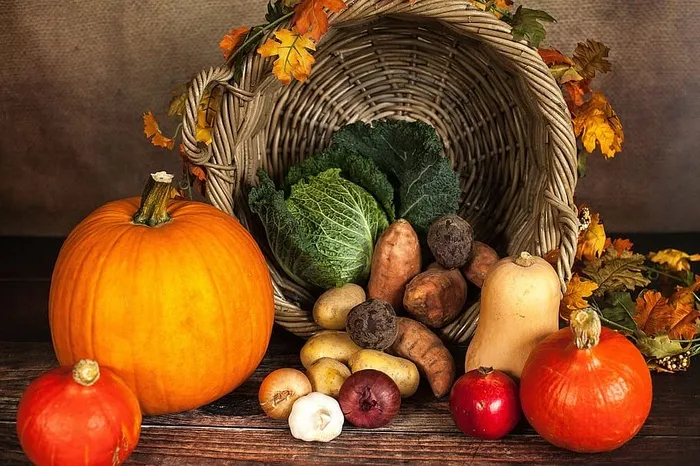 南瓜和秋季蔬菜