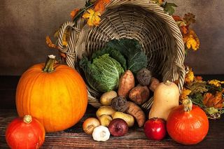 南瓜和秋季蔬菜