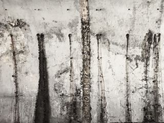 灰色混凝土墙，植物，树，艺术，建筑，绘画，墙，桦树