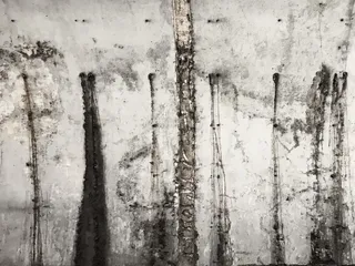 灰色混凝土墙，植物，树，艺术，建筑，绘画，墙，桦树